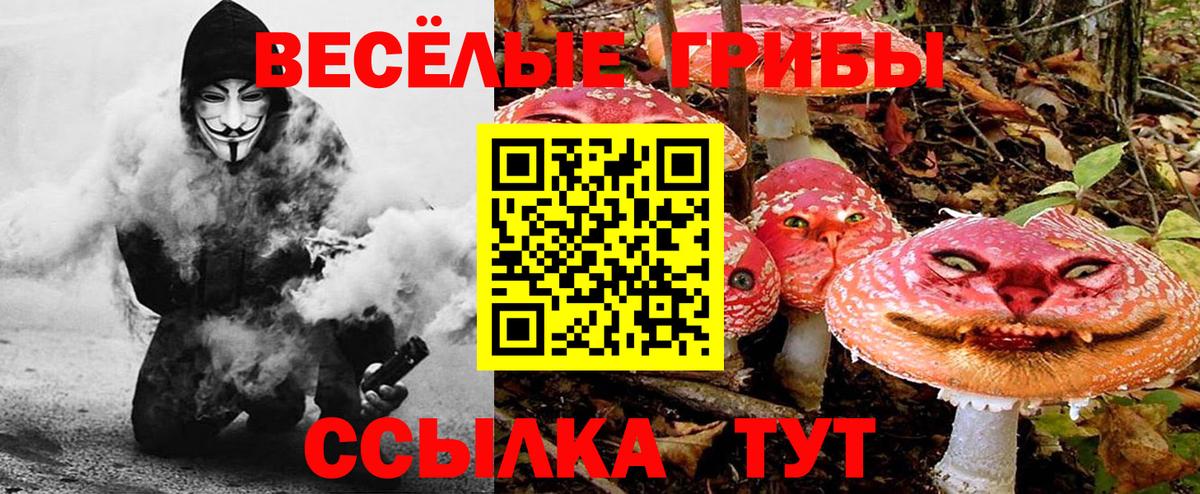 Псилоцибиновые грибы Magic Shrooms Октябрьский