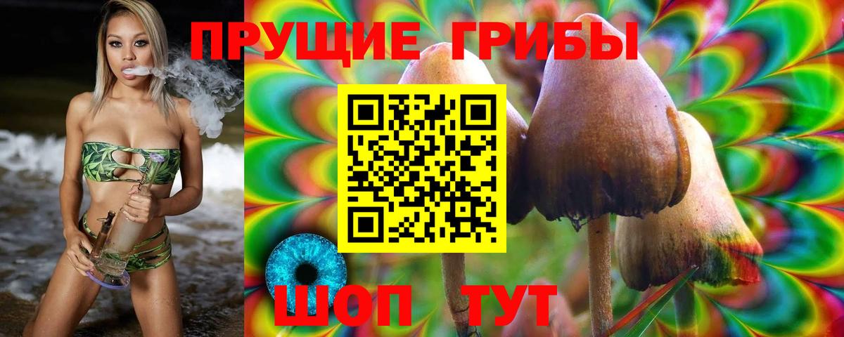 где купить наркоту  Галлюциногенные грибы Psilocybe  Вход с VPN  Октябрьский  Галлюциногенные грибы Magic Shrooms 